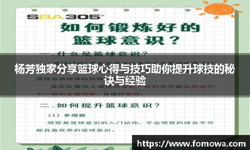 杨芳独家分享篮球心得与技巧助你提升球技的秘诀与经验