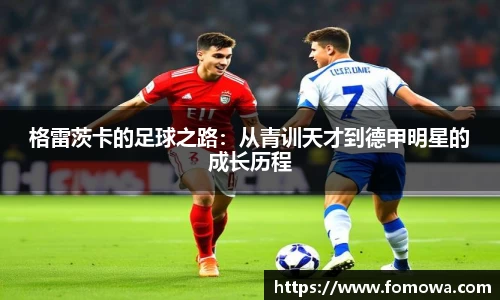 格雷茨卡的足球之路：从青训天才到德甲明星的成长历程