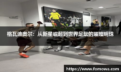 格瓦迪奥尔：从新星崛起到世界足坛的璀璨明珠